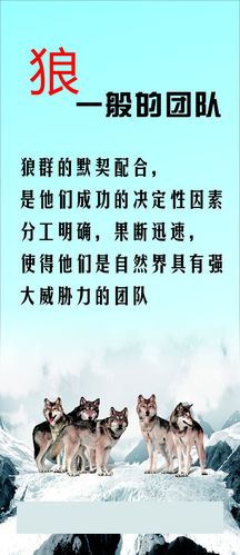 施工组织方案设亚盈体育计(施工组织设计方案1w字)